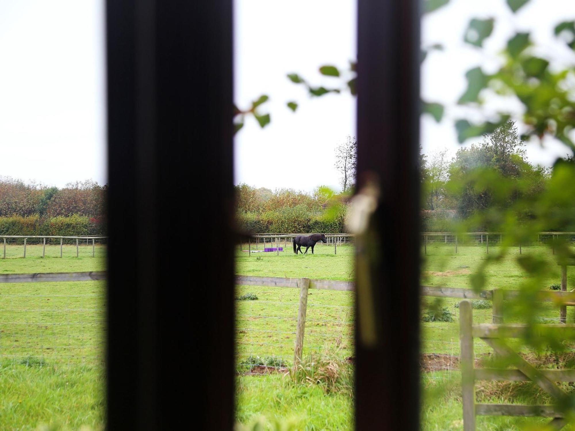 Tilmangate Barn Villa Ulcombe Buitenkant foto